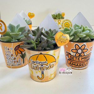Lembrancinha Setembro Amarelo – Suculentas 10 modelos