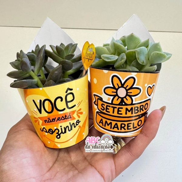 Lembrancinha Setembro Amarelo – Suculentas 10 modelos - Imagem 7