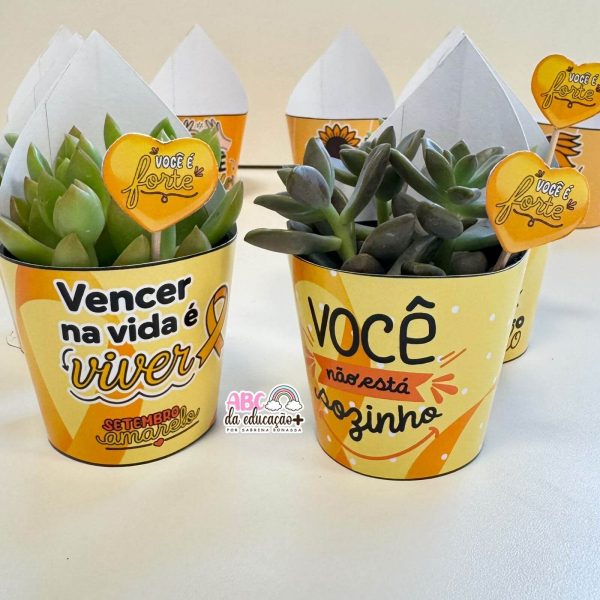 Lembrancinha Setembro Amarelo – Suculentas 10 modelos - Imagem 5