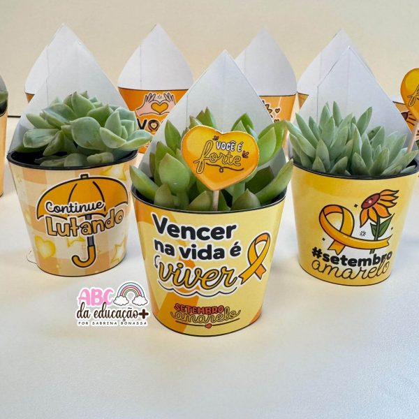 Lembrancinha Setembro Amarelo – Suculentas 10 modelos - Imagem 3