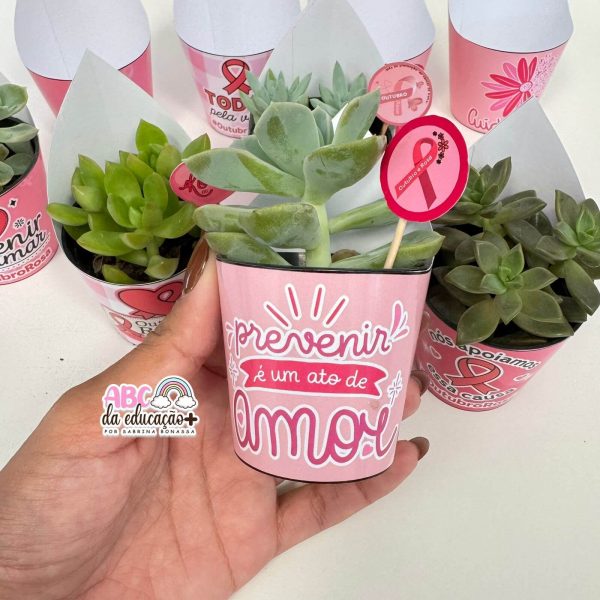 Lembrancinha Outubro Rosa – Suculentas 10 modelos - Imagem 9