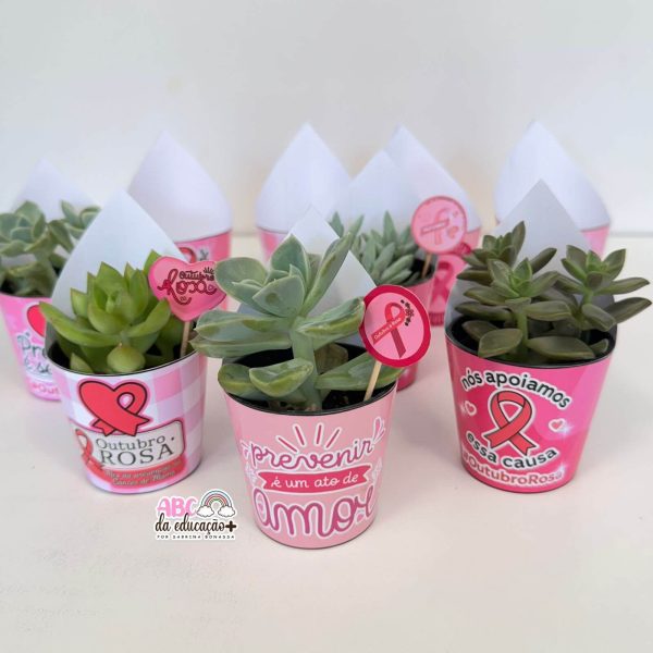 Lembrancinha Outubro Rosa – Suculentas 10 modelos - Imagem 7