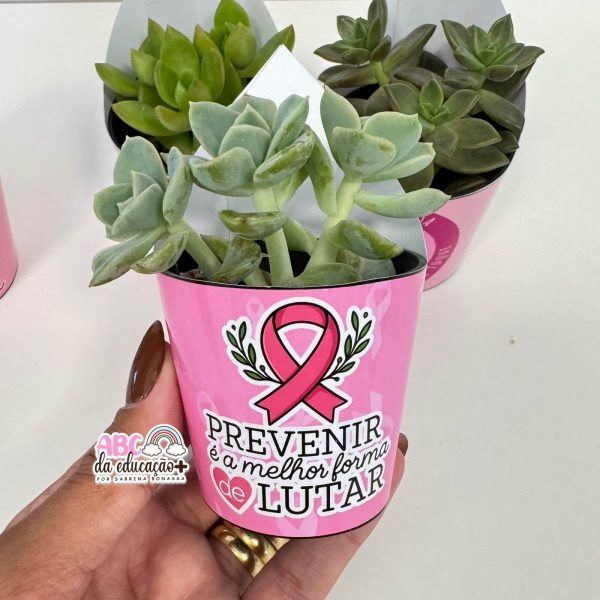 Lembrancinha Outubro Rosa – Suculentas 10 modelos - Imagem 6