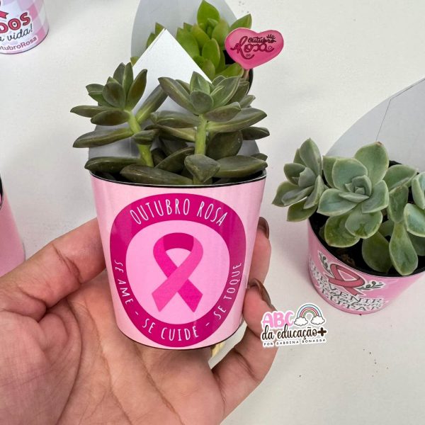 Lembrancinha Outubro Rosa – Suculentas 10 modelos - Imagem 5