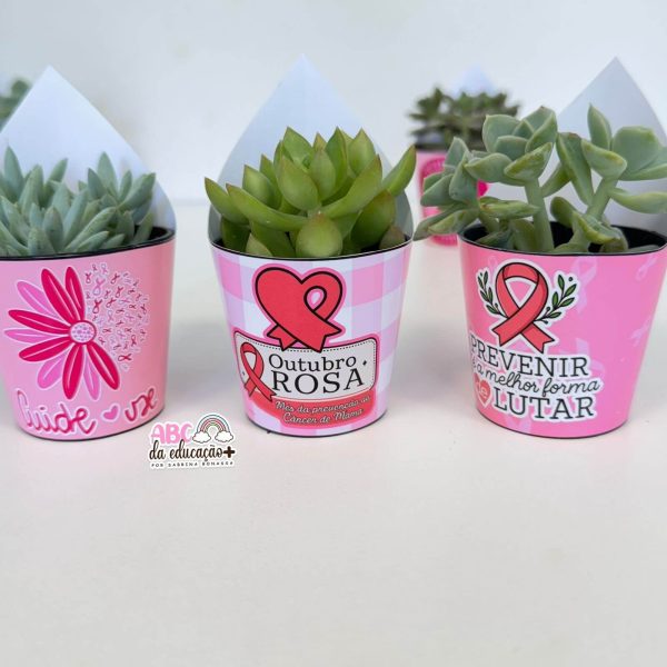 Lembrancinha Outubro Rosa – Suculentas 10 modelos - Imagem 4