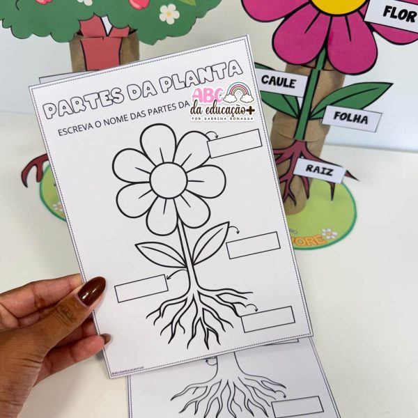 Partes da Planta e da Flor - Atividade com rolinhos - Imagem 8